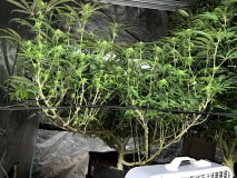 B151D670-231E-4DFD-A709-B58315A971CF