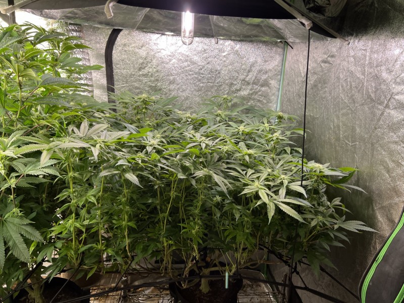 F8F7C3FC-51E6-4DD1-9EA9-EBCC1F431B52