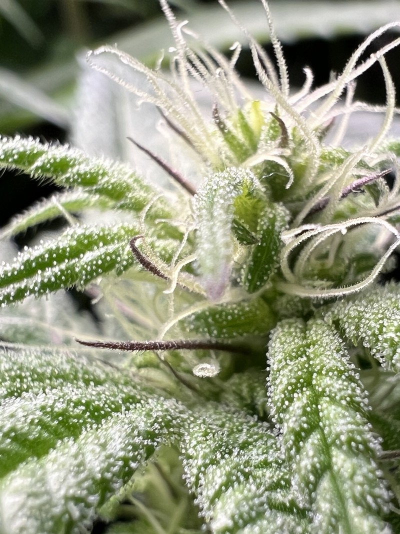 4F56B589-988B-4744-B13C-AD42E0D736F5