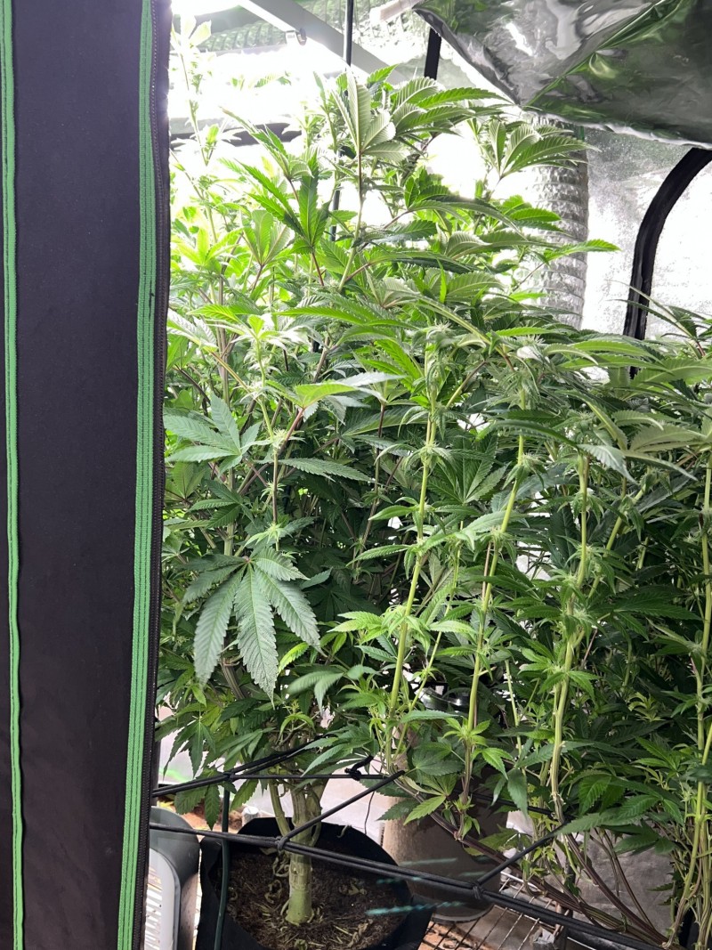 3FEC4250-055A-40E4-B8CB-37175E1200BC