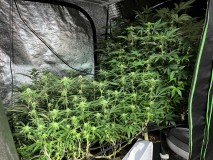 488C1945-51B5-421F-9AE1-5FA5508502ED