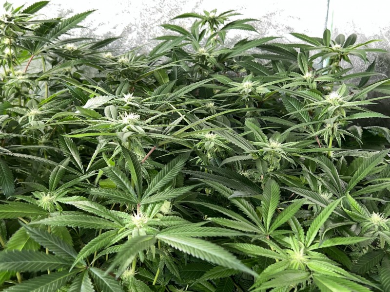 EA4D41EC-5E43-4DE8-BC00-356C8FF0E9BD