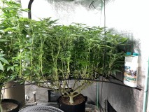 F1D95DE5-1099-49AC-8925-1E1497D26E03