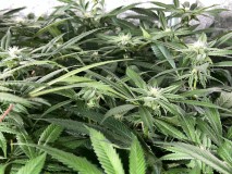 0E71EE6A-3B46-47B4-975F-9233B35F8C12