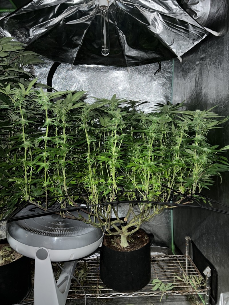 878A986D-6CED-43A9-B90F-493F1C9C8449