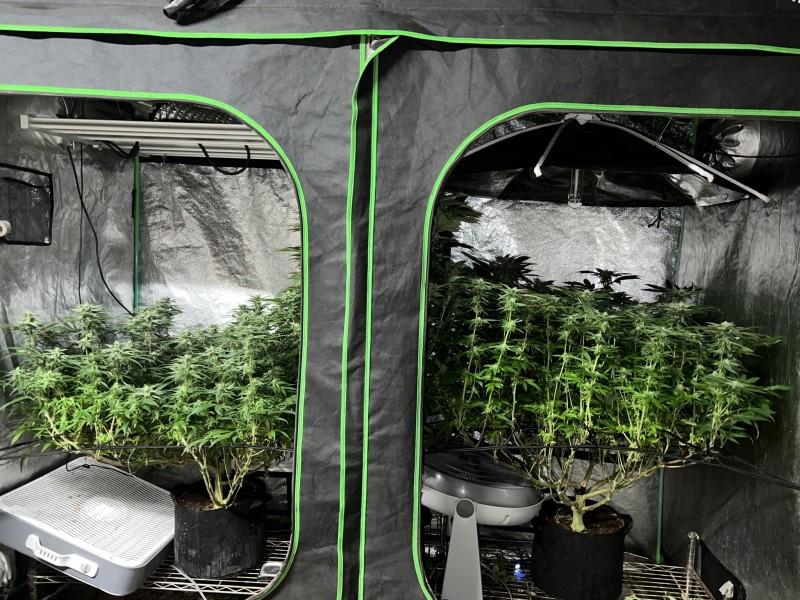 1CC6E9A3-8524-4DC1-B199-0F51D7427D68