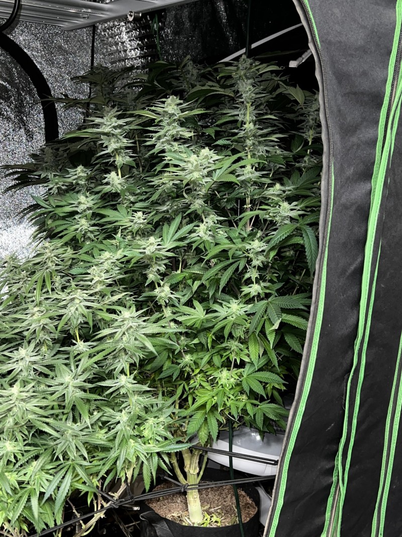 3B917D0F-7F5E-4ADD-853C-19FE729DCC0C