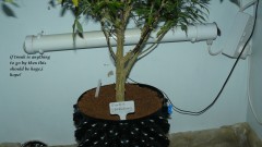 drobes 25 02 23 005