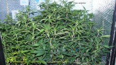 drobes 25 02 23 018