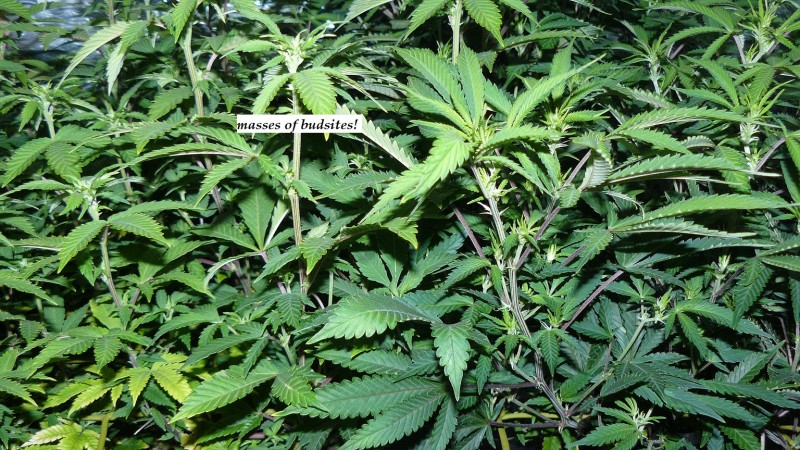 drobes 25 02 23 024