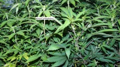 drobes 25 02 23 024