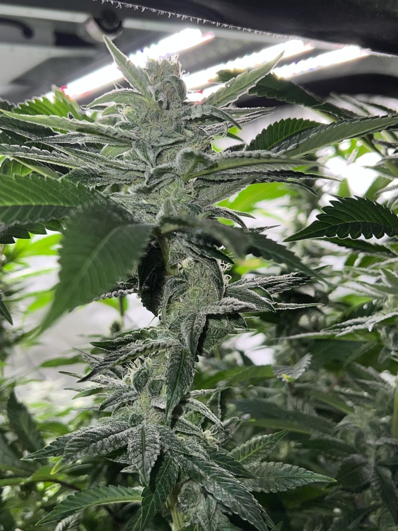 79E457B4-042C-4805-9F2B-716512E53D62