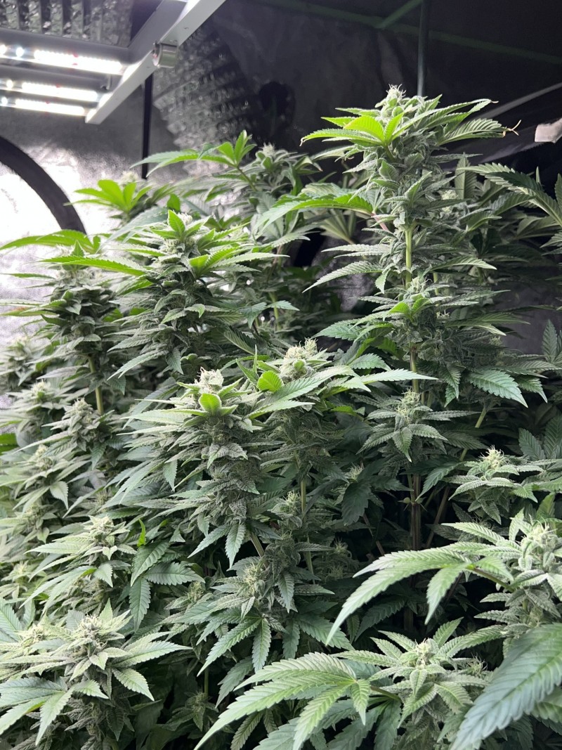 6F3EA4E6-1439-4CBE-80F4-23C96363D805