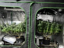 8803C67C-7EC3-4183-A744-190957122B20