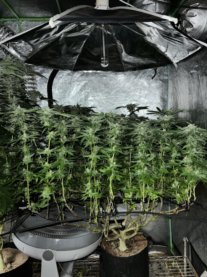 3FA6BA7F-8678-4901-A836-2E04EEFEB291