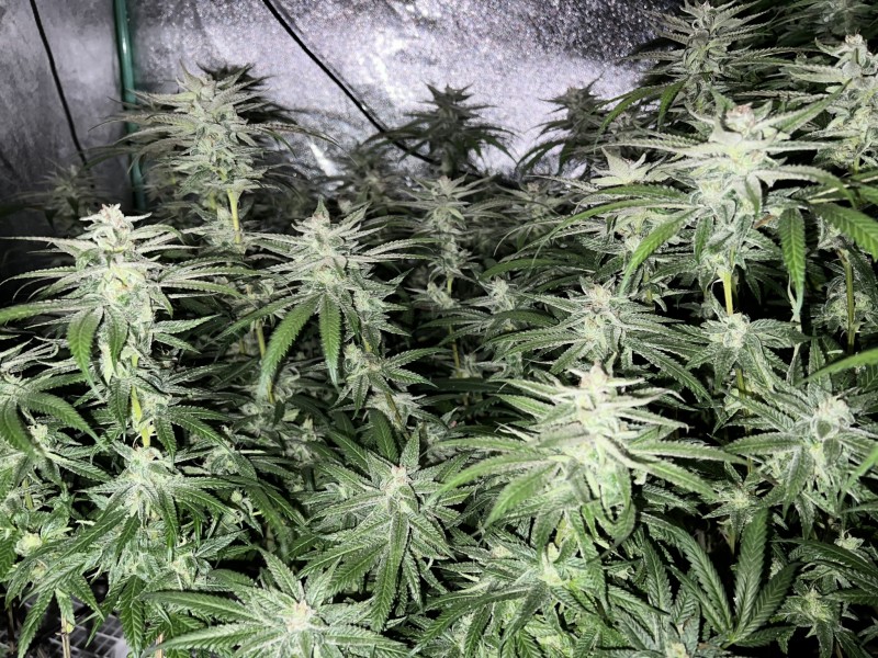 732A8E8D-07B8-4B95-ABF1-B0B2AFCD2ED5