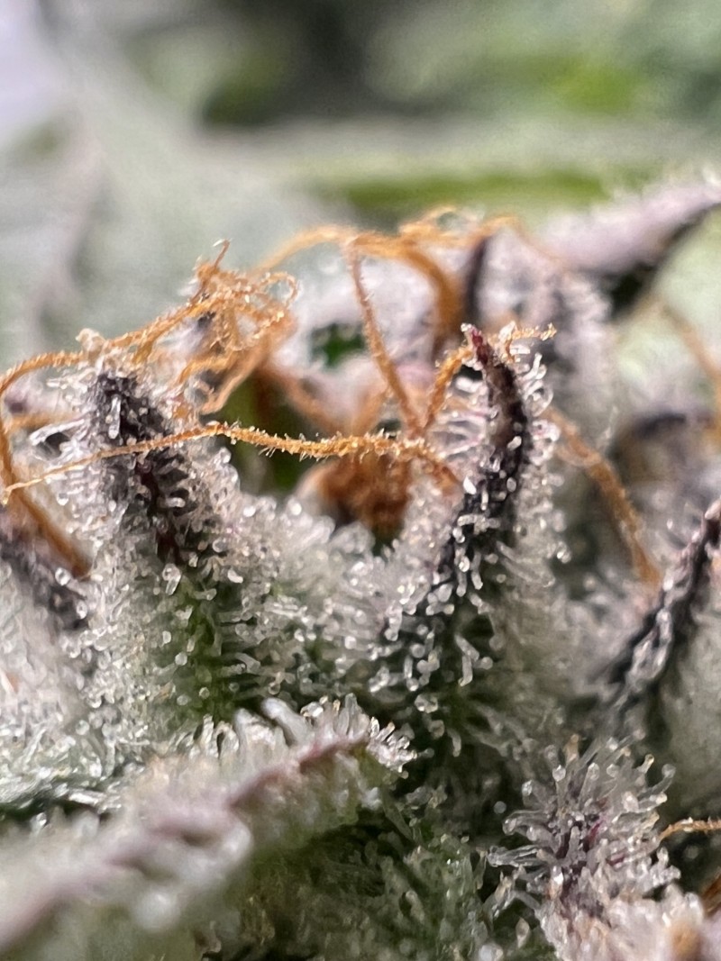 3E865C80-AA92-407F-8060-C0A305906A63