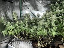 4479A5F8-274B-4CC3-B817-4CA900DB2B81