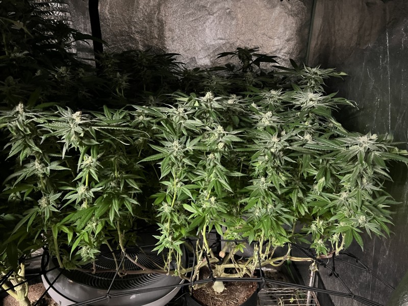 4B7CCFE0-EADD-4120-BF83-7FFDDFAF0A60