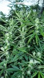 drobes 19 03 23 038