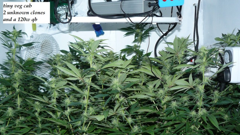 drobes 26 03 23 021