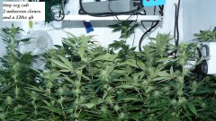 drobes 26 03 23 021