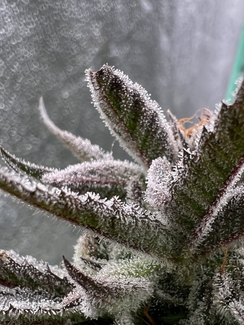 FAA30E32-300F-4314-B37F-EA5701055DD1