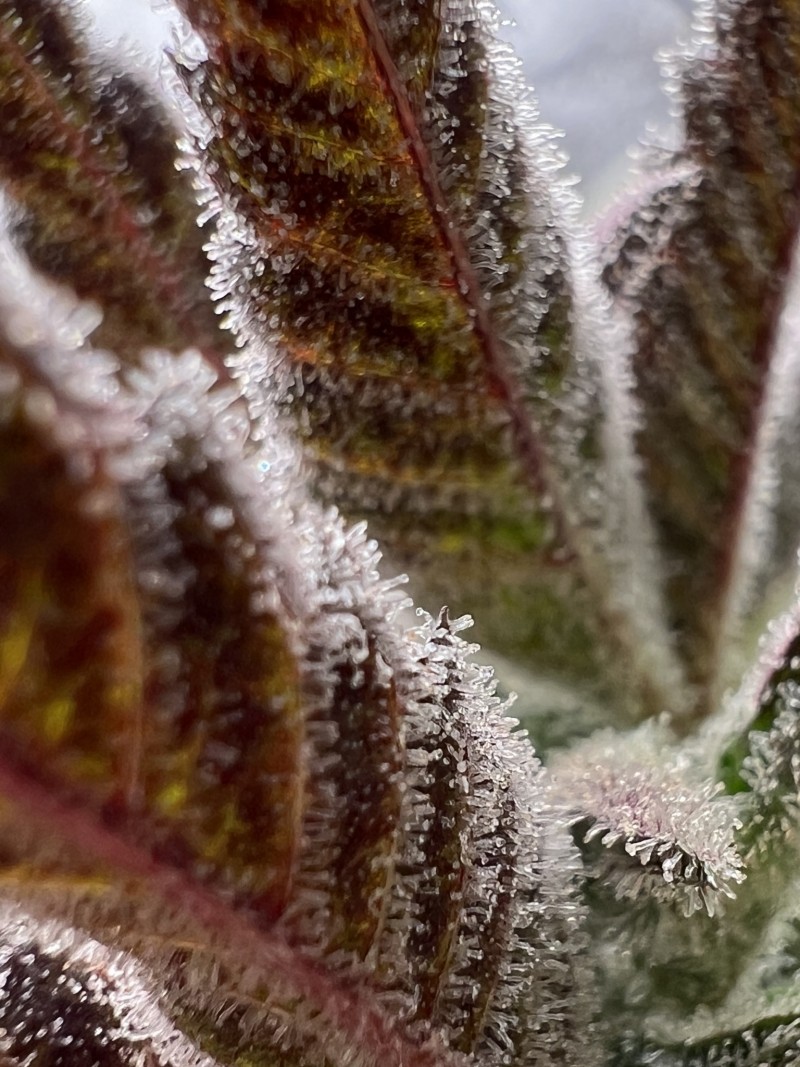 C679EC9F-7A84-4B9B-899B-EBED41F089B9