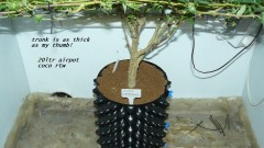 drobes 04 04 23 015
