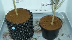 drobes 04 04 23 031