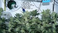 drobes 04 04 23 034