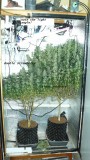 drobes 04 04 23 048