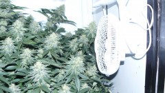 drobes 16 04 23 005