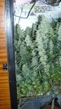 drobes 16 04 23 040
