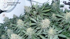drobes 22 04 23 019