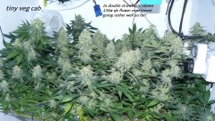 drobes 22 04 23 029