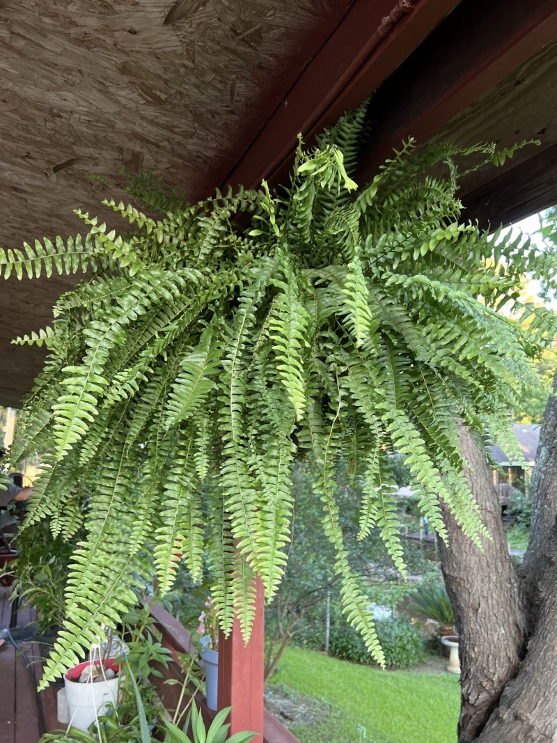 D5F66760-FCE0-47E5-BEEC-17BB65C88F6E