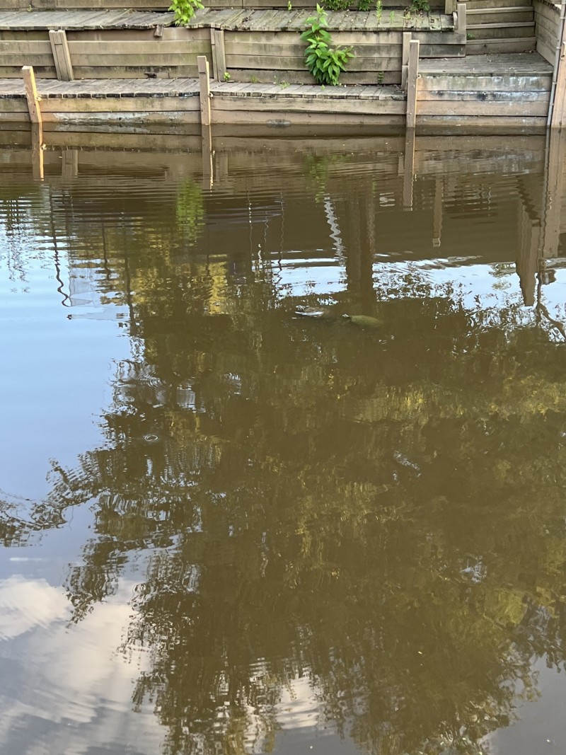 7B5195CB-341A-482B-9A03-32CF8D409350