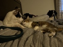 C9A563A9-7E82-4D6F-A541-5D24CBCF83C7