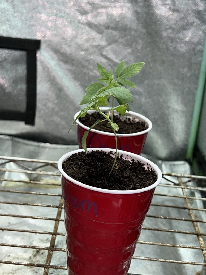 829EF9C9-14DC-4D38-B94A-100C6CC19594