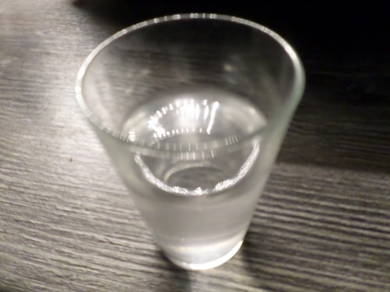 SAM_3308