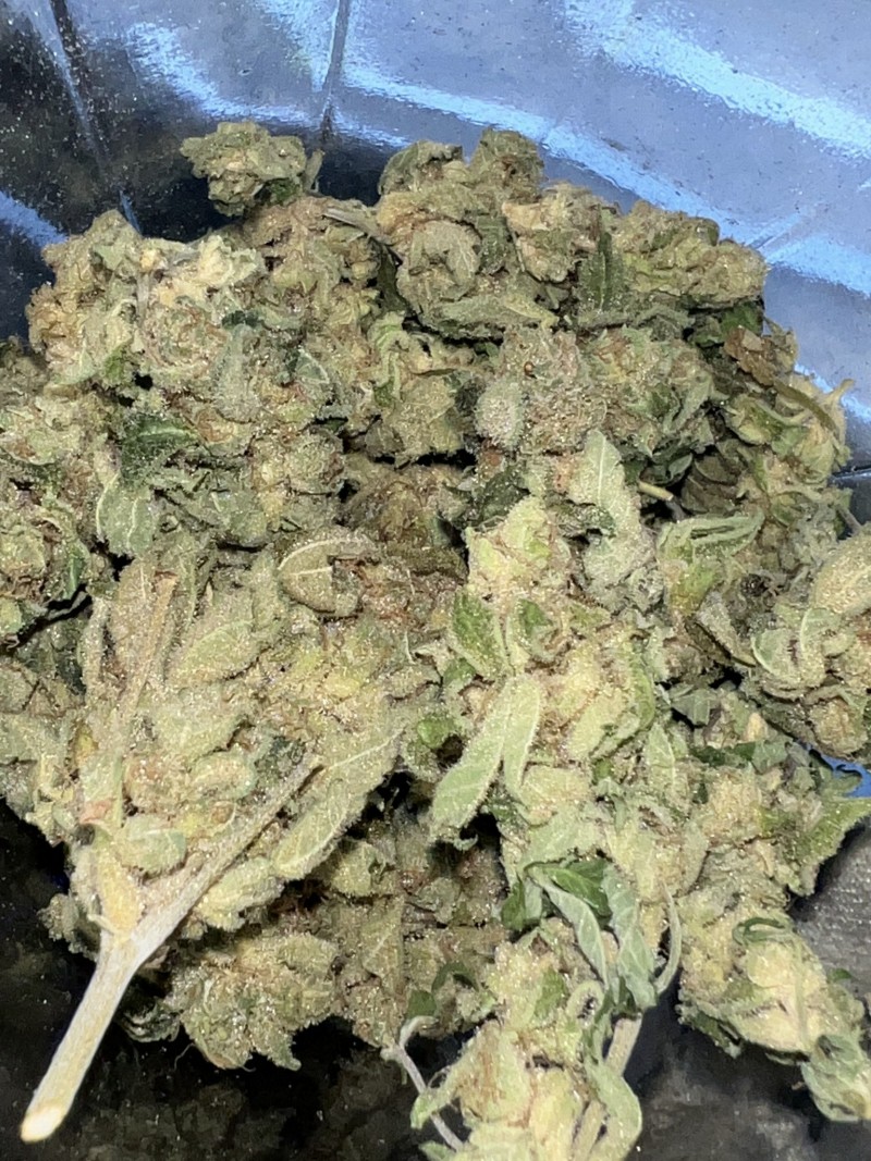 0021B1A0-FF77-4DC4-AA93-897172D2D52B