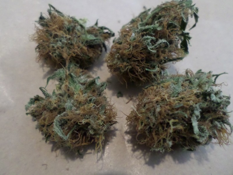 SAM_3317