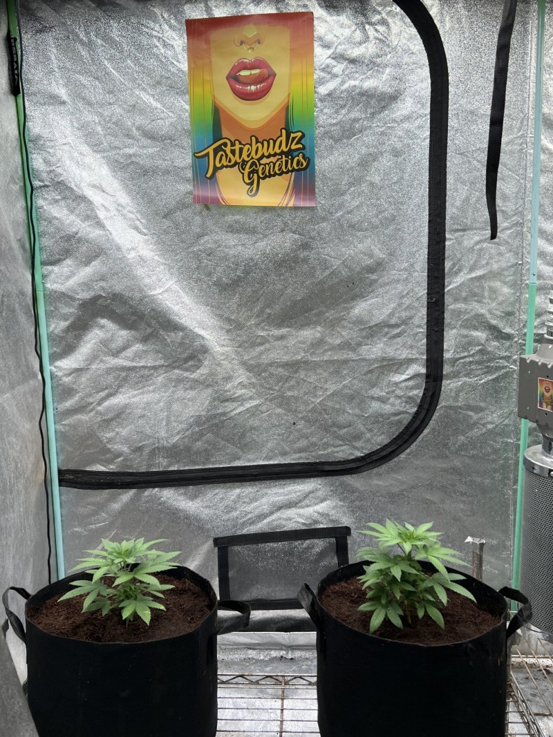 B223AAF4-7DB1-4087-87F0-AF27278BB67A