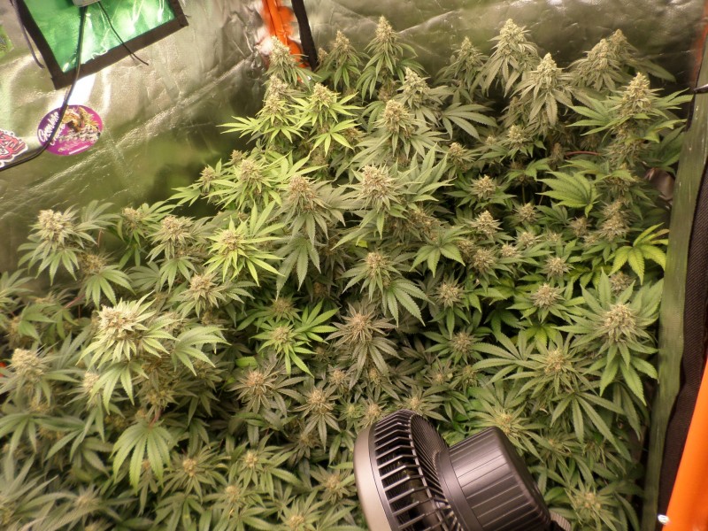 week8right