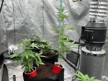 7523BDFB-B06B-4BB2-BB4A-417528F7CB73