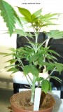 drobes day 1 ah 18 06 23 016
