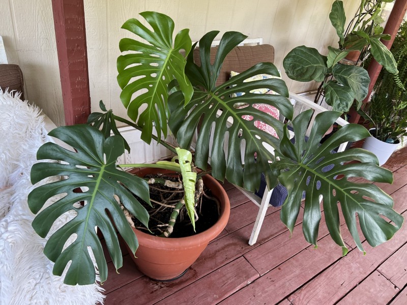 1C637CE3-7DF5-4213-9B0D-747CC9E10B2F