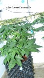 drobes 23 6 23 014