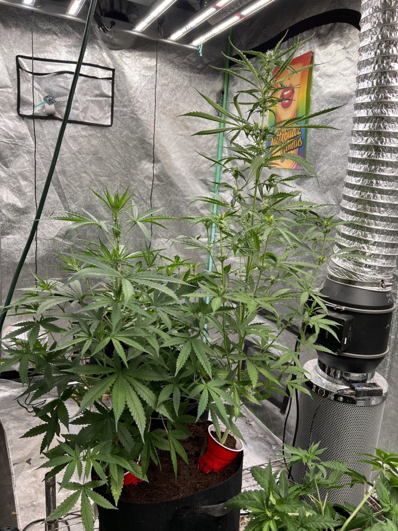 BF18DF4F-3896-4C2F-A156-97C04B08A5B4